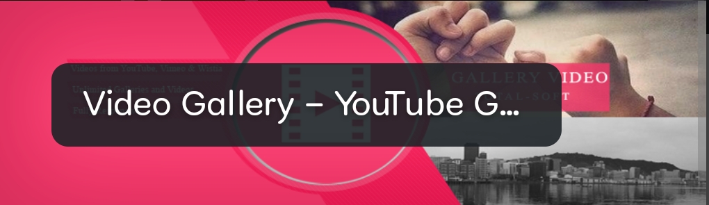  Video Gallery – YouTube Gallery   | 5+ Best free Youtube Plugin for wordpress