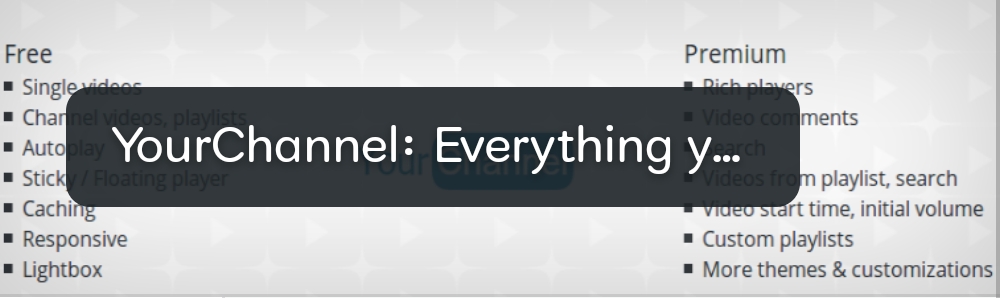 YourChannel: Everything you want in a YouTube plugin  | 5+ Best free Youtube Plugin for wordpress